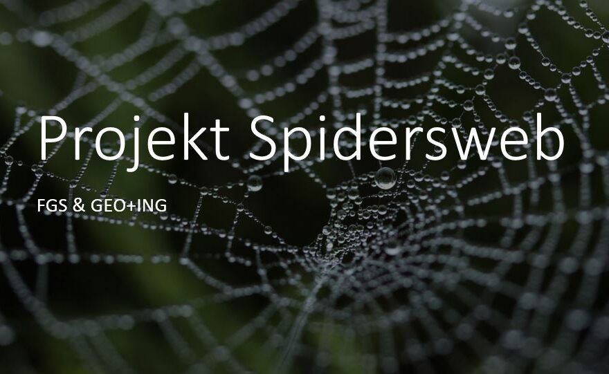 Titelbild Projekt Spidersweb