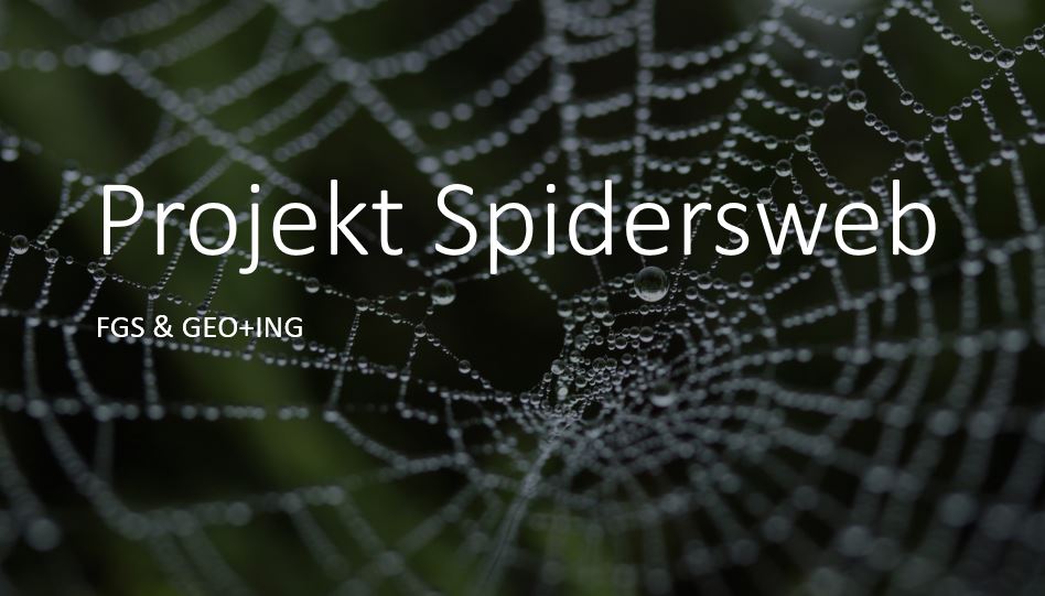 Titelbild Projekt Spidersweb